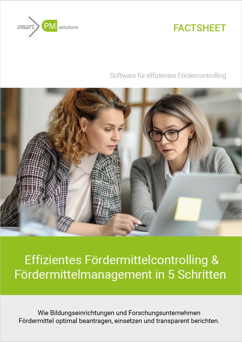 Cover-Factsheet_Foerdercontrolling_2024_DE_GZD_Web (1)