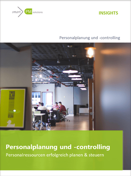 smartPM HR Controlling paper de